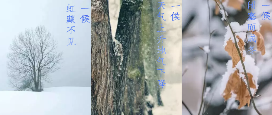 今日小雪，寒潮來襲，洗瓶機來幫你解放雙手吧！